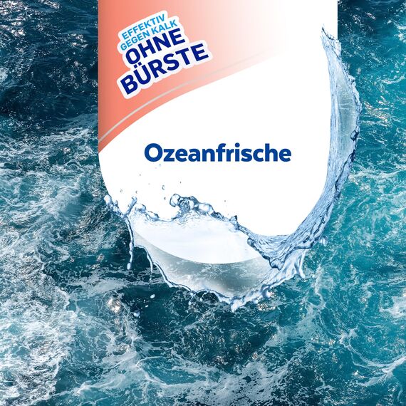 Sagrotan WC-Reiniger Ozeanfrische – 2in1 Reinigungsmittel mit Antischmutzfilm für langanhaltende WC-Frische – 4 x 750 ml