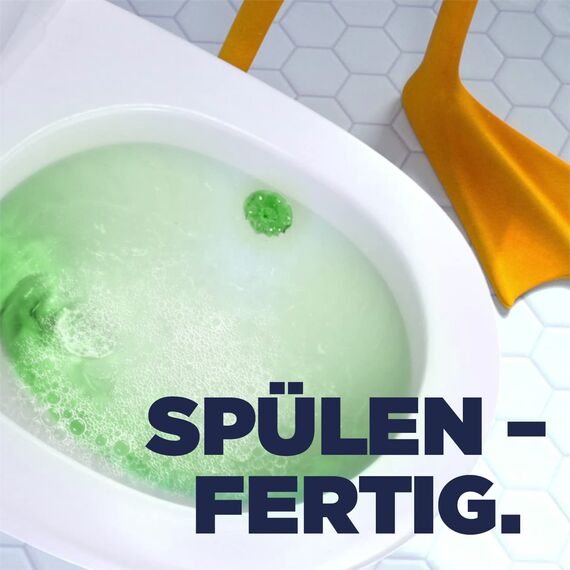 WC-Ente Frische-Siegel Nachfüller, körbchenloser WC-Reiniger, WC Duft, Lime, 3 x 2 Nachfüller (6 Stück)