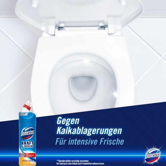 Domestos Kraft & Frische WC Gel Ocean Fresh Reinigungsmittel mit frischem Ocean-Duft für hygienische Sauberkeit 750 ml 1 Stück