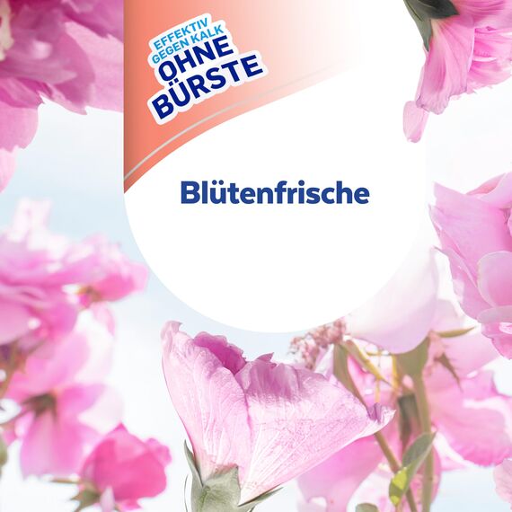 Sagrotan WC-Reiniger Blütenfrische – 2in1 Reinigungsmittel mit Antischmutzfilm für langanhaltende WC-Frische – 1 x 750 ml