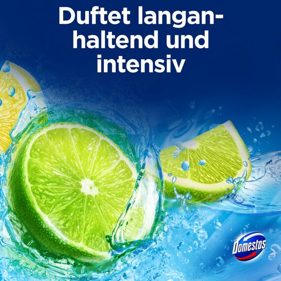 Domestos Power 5 Toilettenstein Limette WC Reiniger im Vorteilspack Volle Power bis zu 900 Spülungen im Trio 3x 50 g (Packung mit 4)
