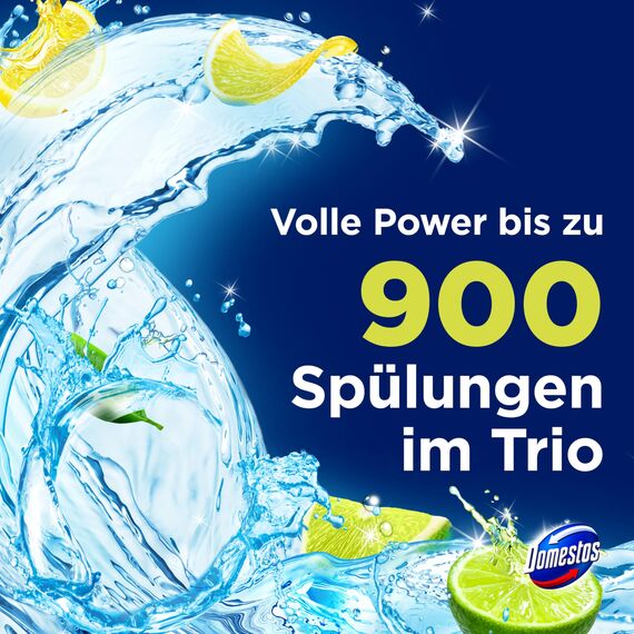 Domestos Power 5 Toilettenstein Limette WC Reiniger im Vorteilspack Volle Power bis zu 900 Spülungen im Trio 3x 50 g (Packung mit 2)