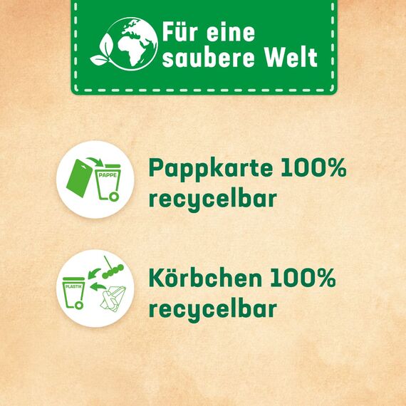 WC Frisch Kraft-Aktiv Blauspüler Chlor, 5er Pack (5 x 1 Stück)