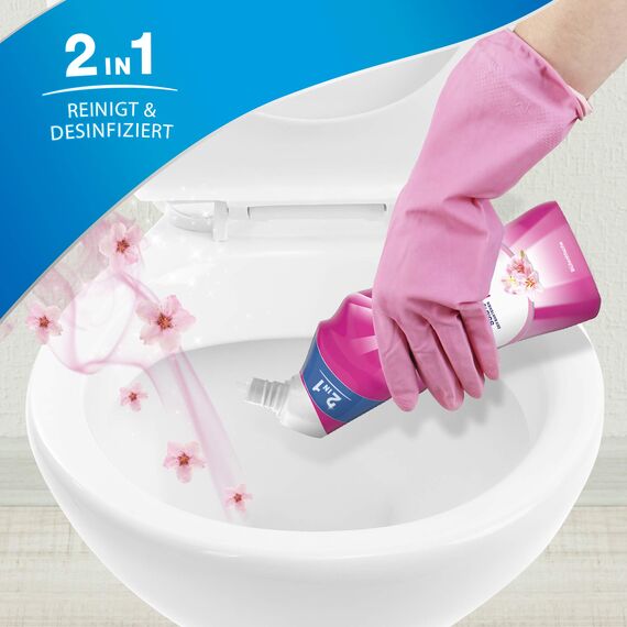 Sagrotan WC-Reiniger Blütenfrische – 2in1 Reinigungsmittel mit Antischmutzfilm für langanhaltende WC-Frische – 1 x 750 ml (Packung mit 3)