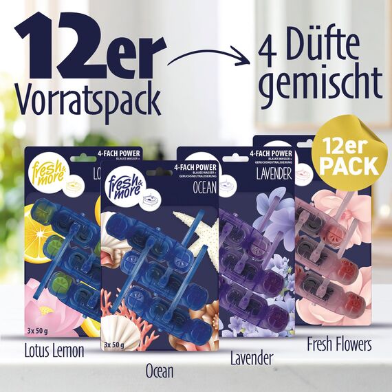 Fresh & More WC-Duftspüler Mix Paket 12x 50g Toiletteneinhänger (4er Pack)