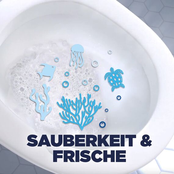 WC-Ente Biologisch Abbaubare Produktformel WCReiniger, Küstenwald, 1er Pack (1x750ml)