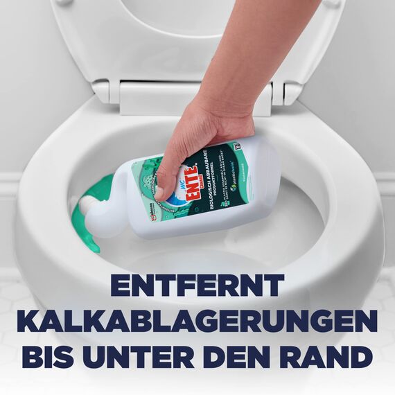 WC-Ente Biologisch Abbaubare Produktformel WCReiniger, Küstenwald, 1er Pack (1x750ml)