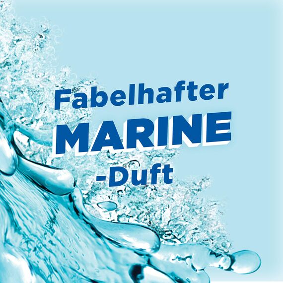 WC-Ente Frische-Siegel Nachfüller, körbchenloser WC-Reiniger, WC Duft, Ocean Wave, 2 Nachfüller (2 Stück) (Packung mit 2)