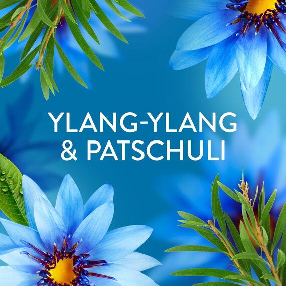 Lenor Weichspüler Megapack, 12 × 36 Waschladungen, Meeresbrise, 24h Wohlfühlfrische Mit Einer Note Ätherischer Öle