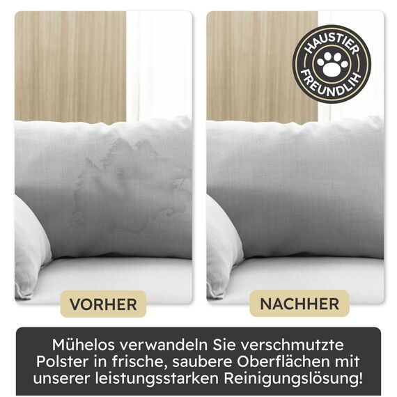 FRISCHER PROFESSIONAL Profi Polsterreiniger für Sofa, Auto, Sessel & Couch inkl. Bürste - Textilreiniger Konzentrat & Autositz Reiniger für alle Polstermöbel (1000)
