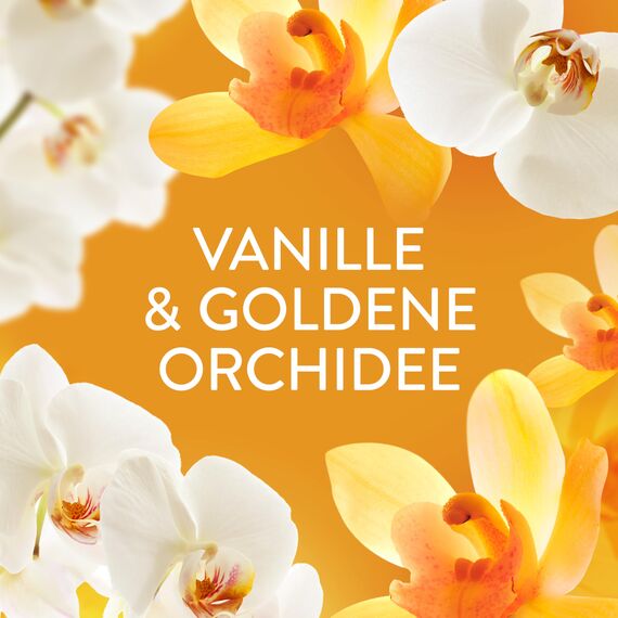 Lenor Wäscheparfüm Goldene Orchidee 275g, Non-Stop Frische Für Bis Zu 12 Wochen Im Schrank