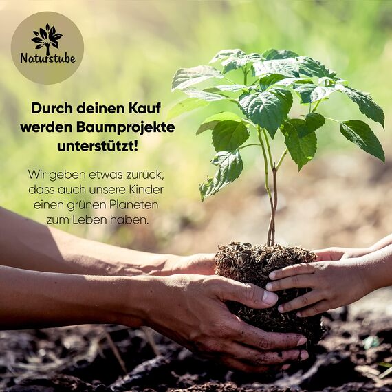 Naturstube® Wäschesack, 2er Set 50 x 70 cm - Strapazierfähige 45l Wäschebeutel Reise, 100% Baumwolle [Öko-Tex zertifiziert], Wäschesäcke, Stoffbeutel Groß, Laundry Bag, Schmutzwäschebeutel Reise