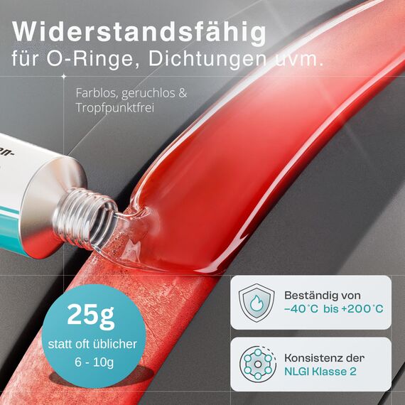 fancility XL Pflegeset [inkl. Video-Anleitung] für Siemens EQ5 EQ6 EQ7 EQ8 & Bosch Vero Neff Gaggenau - 25g Silikonfett, Formdichtung Brühgruppe Kaffeevollautomat & Dichtungsringe O-Ringe (2 Bürsten)