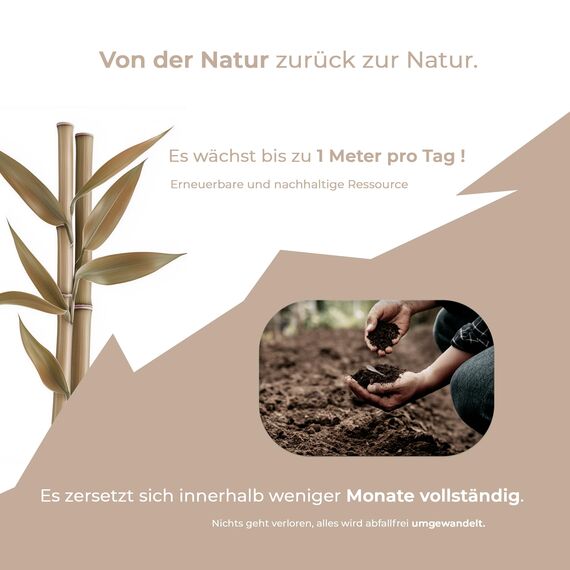 Wattestäbchen 100 – Candore – Stärkerer Bambusstab, weicher Baumwollkopf – Biologisch Abbaubar