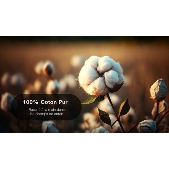 500 Wattestäbchen – stärkere Bambusstäbchen, weicher Wattekopf – biologisch abbaubar – Briefkastengröße