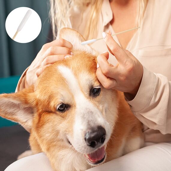 Vaktop Hunde Wattestäbchen, 50 Stück Haustiere Ohrreiniger Lang, Ohrreinigungsstäbchen Haustier mit Breiter Kopf - für Haustiere Hunde, Katzen (15cm)