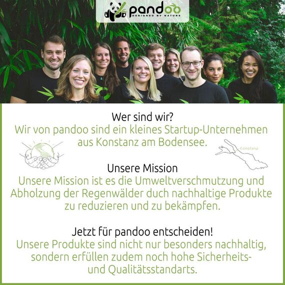 pandoo 4er Pack Bambus Wattestäbchen mit großem Sicherheitskopf (220 Stück) | Biologisch-Abbaubar, Vegan, Plastikfrei, Holzfrei & Nachhaltig | Ohrenstäbchen für Babys und Kinder