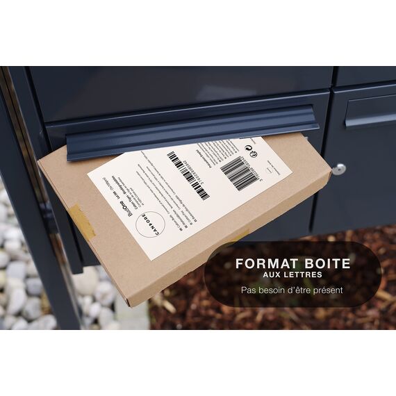 500 Wattestäbchen – stärkere Bambusstäbchen, weicher Wattekopf – biologisch abbaubar – Briefkastengröße