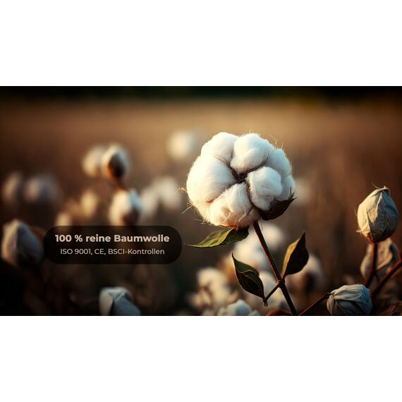 Wattestäbchen 100 – Candore – Stärkerer Bambusstab, weicher Baumwollkopf – Biologisch Abbaubar