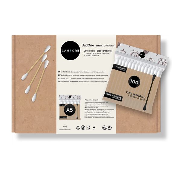 500 Wattestäbchen – stärkere Bambusstäbchen, weicher Wattekopf – biologisch abbaubar – Briefkastengröße