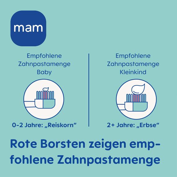 MAM Baby's Brush, Baby Zahnbürste mit kurzem Griff zum einfachen Halten, Kinderzahnbürste zur sanften Zahnreinigung, ab 6+ Monate, türkis