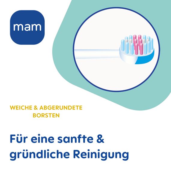 MAM Baby's Brush im 2er-Set, Baby Zahnbürste mit kurzem Griff zum einfachen Halten, Kinderzahnbürste zur sanften Zahnreinigung, ab 6+ Monate, türkis