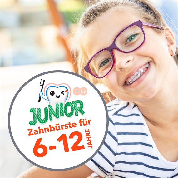 elmex Zahnbürste Junior 6 - 12 Jahre, 6 Stück - Kinderzahnbürste, weich, abgerundete Borsten für das das Zähneputzen während des Zahnwechsels