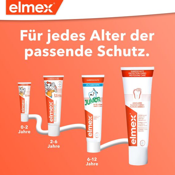 elmex Lern-Zahnbürste 0-2 Jahre, 6 Stück – altersgerechte Zahnreinigung mit weichen Borsten und ergonomischem Griff – gewöhnt Babys spielerisch an das Zähneputzen