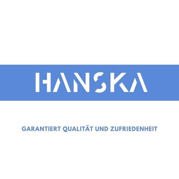 HANSKA 1000 Blau Nitril-Einweghandschuhe – puderfrei – Einweg – beidhändig tragbar – unsteril – Gummibasis – Geeignet für medizinische Bereiche und Lebensmittelverarbeitung (1000, L)