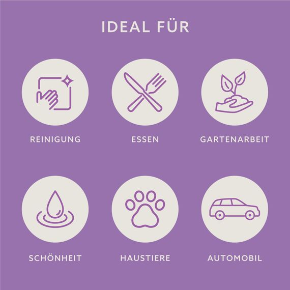 by Amazon - Einweg-Vinylhandschuhe, Größe L, 100er-Pack