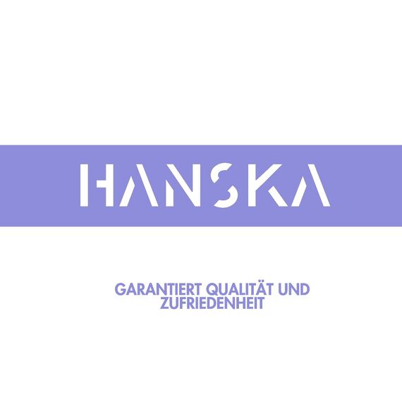 HANSKA 100 violette Nitril-Einweghandschuhe – puderfrei – Einweg – beidhändig – nicht steril – Gummibasis – geeignet für medizinische Bereiche, Handhabung von Lebensmitteln (100, XL)