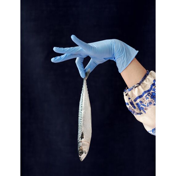 Spontex Food Contact, 20 Einmalhandschuhe aus Nitril, lebensmittelecht, latexfrei und ungepudert, Größe M (1 x 20 Stück) (Packung mit 3)