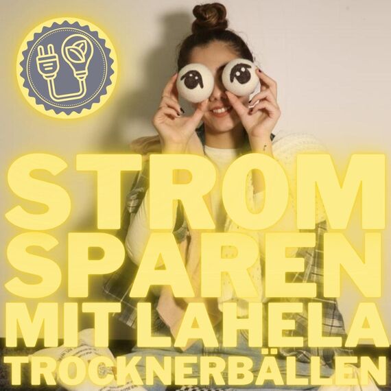 LAHELA® Öko Trocknerbälle 6er Set [HOHE FILZDICHTE]. TÜV® zertifiziert. Nachhaltiges Produkt: 100% neuseeländische Schafwolle. Trocknerbälle für Wäschetrockner. Trocknerkugeln (weiß)