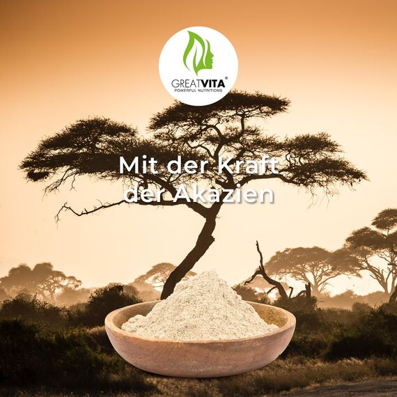 GreatVita Bio Akazienfaser Pulver 400 g – E414 Gummi Arabicum Typ 4918 | 90% Ballaststoffe, löslich & Geschmacksneutral | vegan, glutenfrei, ohne Gentechnik | Made in Germany - DE-ÖKO-037