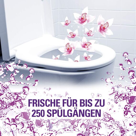 Cillit Bang Color Power 6 WC-Spüler, Lilaspüler, Duo, 6er Pack (6 x 2 Stück)