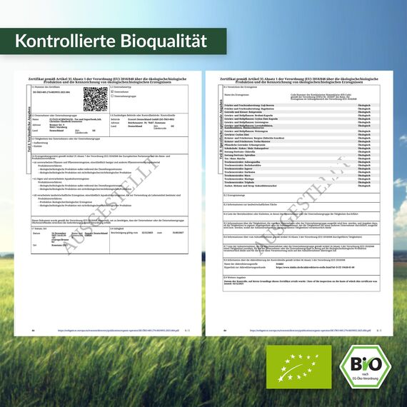 500g BIO Spirulina Pulver, 100% natürlich, rückstandskontrolliert, nach EU-ÖKO-Standard kultiviert und hergestellt, Rohkostqualität, ohne Zusätze (500g)