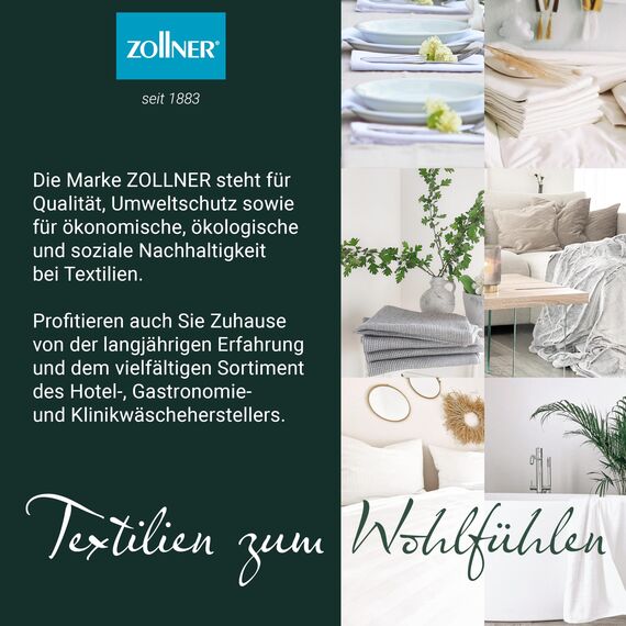 ZOLLNER 10er Set Mikrofasertücher für streifenfreien Glanz - flusenfreie und saugstarke Reinigungstücher - waschbar bis 60°C - 32x32cm in grau - Hotelqualität