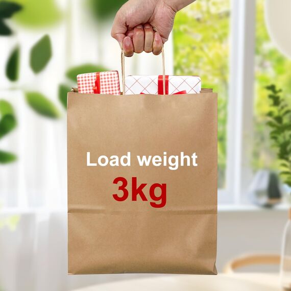 rokrist 17stk Bunt Papiertüten mit Henkel, Geschenktüten 21x15x8cm, Kraftpapiertüte für Weihnachten, Einkaufen, Geburtstag, Hochzeiten, Verpackungen, Partys