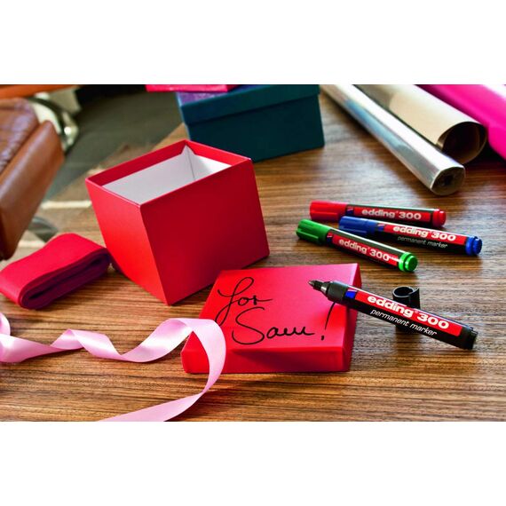 edding 300 Permanentmarker - grün - 10 Stifte - Rundspitze 1,5-3 mm - wasserfest, schnell-trocknend - wischfest - für Karton, Kunststoff, Glas, Holz, Metall, Glas