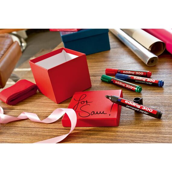 edding 300 Permanentmarker - hell-blau - 10 Stifte - Rundspitze 1,5-3 mm - wasserfest, schnell-trocknend - wischfest - für Karton, Kunststoff, Glas, Holz, Metall, Glas