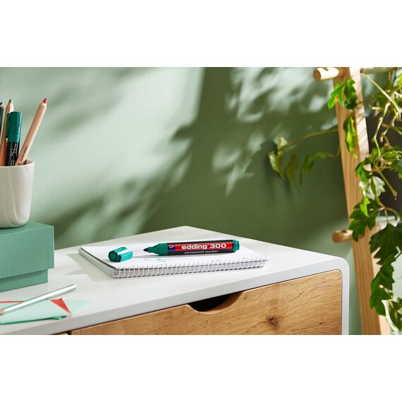 edding 300 Permanentmarker - grün - 10 Stifte - Rundspitze 1,5-3 mm - wasserfest, schnell-trocknend - wischfest - für Karton, Kunststoff, Glas, Holz, Metall, Glas