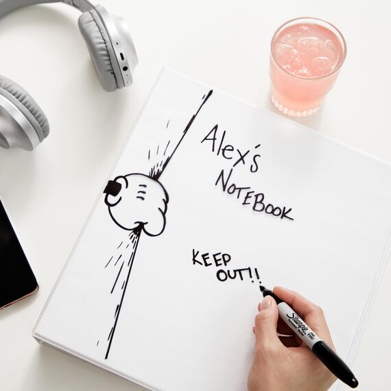 Sharpie Permanent Marker | Marker Stifte mit feiner Spitze | schwarze Tinte | 36 Stück Market Set