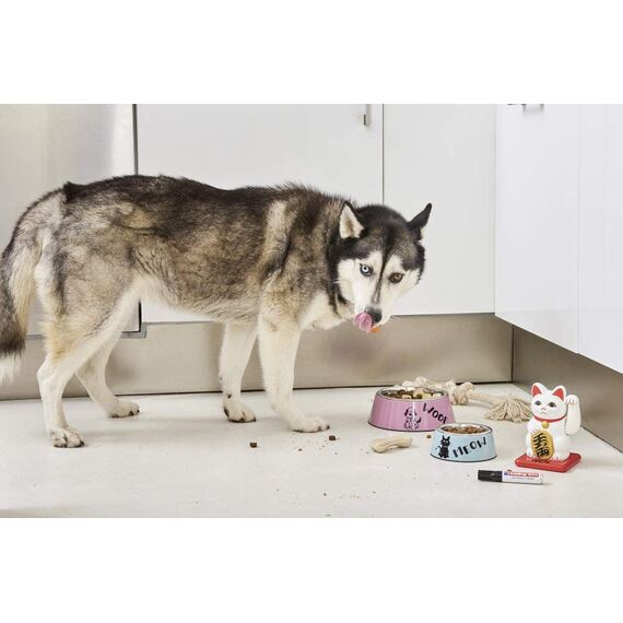 edding 500 Permanentmarker - schwarz - 1 Stift - Keil-Spitze 2-7 mm - wasserfest, schnell-trocknend - wischfest - für Karton, Kunststoff, Holz, Metall, Glas