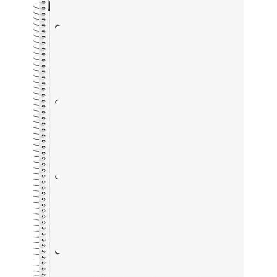 BRUNNEN Collegeblock Student | A4, Lineatur 20, 80 Blatt, grün