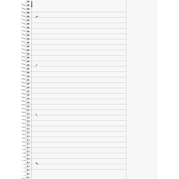 Brunnen 1067925126 Notizblock / Collegeblock Student Colour Code (A4 liniert, Lineatur 25, 90 g/m², 80 Blatt) pink