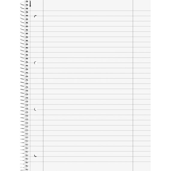 BRUNNEN Collegeblock Student „DUO“ | A4, kariert/liniert, 80 Blatt, petrol (A4 (Packung mit 5))