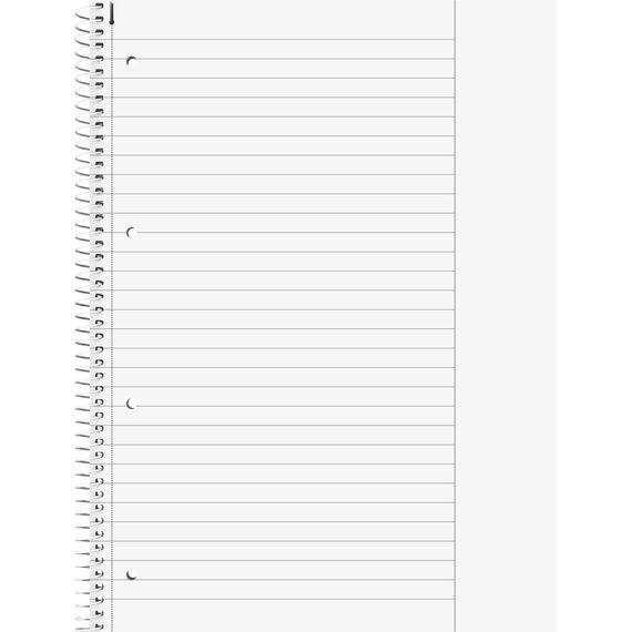 BRUNNEN Collegeblock Premium Student Colour Code | A4, Lineatur 25, 80 Blatt, purple