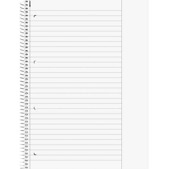 Brunnen 1067925133 Notizblock/Collegeblock Student Colour Code (A4 liniert, Lineatur 25, 90 g/m², 80 Blatt) blau (Packung mit 3)