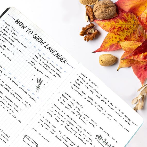 STATIONERY ISLAND Notizbuch A5 Kariert, Journal Hardcover mit 120 g/m² Dickem Papier, 180 Seiten Tagebuch, Notebook a5 für Mädchen, Reisetagebuch, Planen, Lernen, Schreiben