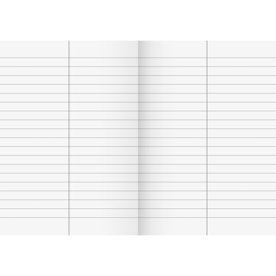 Brunnen 1046925 Vokabelheft (A6, 32 Blatt, liniert, mit Teilungslinie) 1 Stück